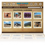 Dude Ranch Round Up