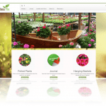 Plant Fashions Plus