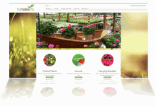 Plant Fashions Plus